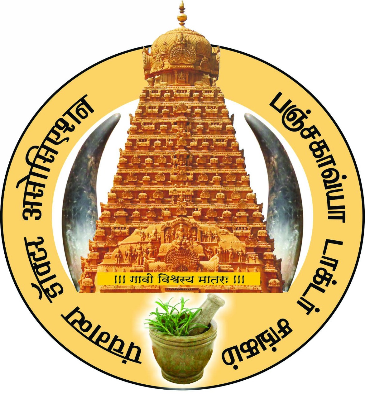 प्रवक्ता 2